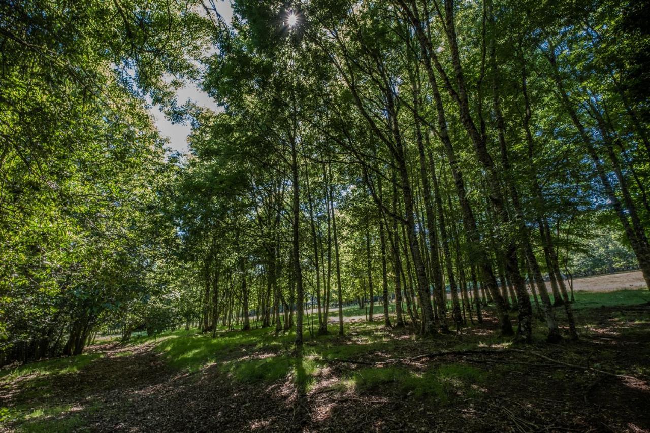 Отель Domaine De Malouzies Fontiers-Cabardes Экстерьер фото