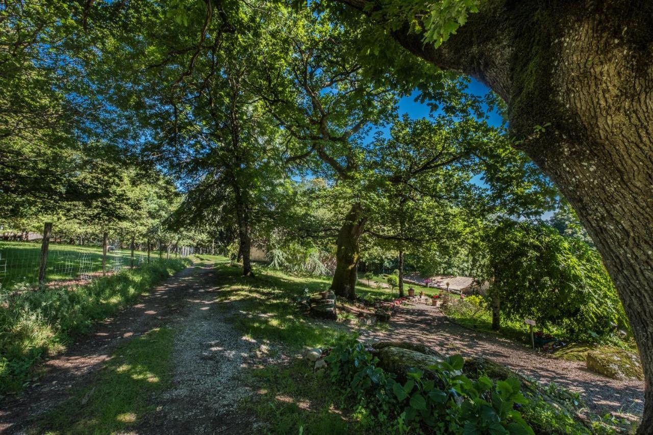 Отель Domaine De Malouzies Fontiers-Cabardes Экстерьер фото