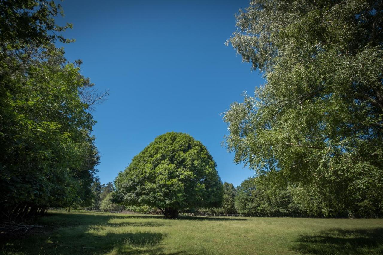 Отель Domaine De Malouzies Fontiers-Cabardes Экстерьер фото